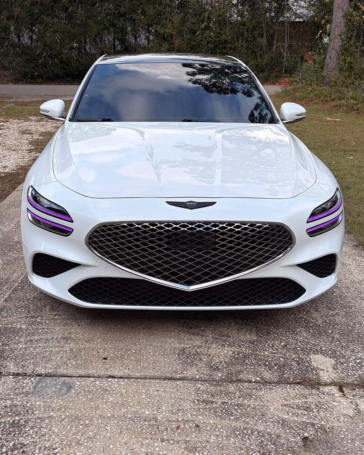 Genesis G70 with PLUGNPLAYCUSTOMS purple DRLs